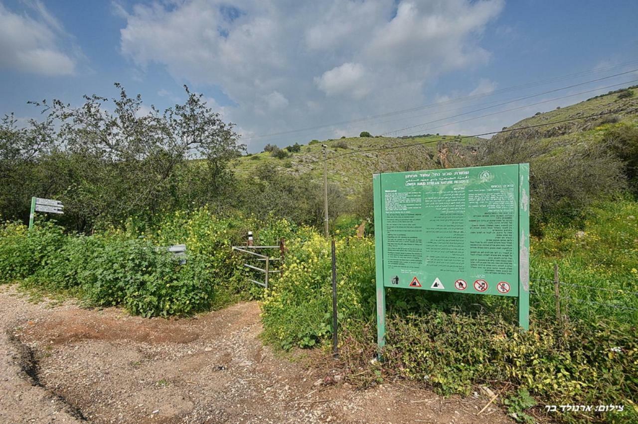 Mul Kinneret Livnim Exterior foto