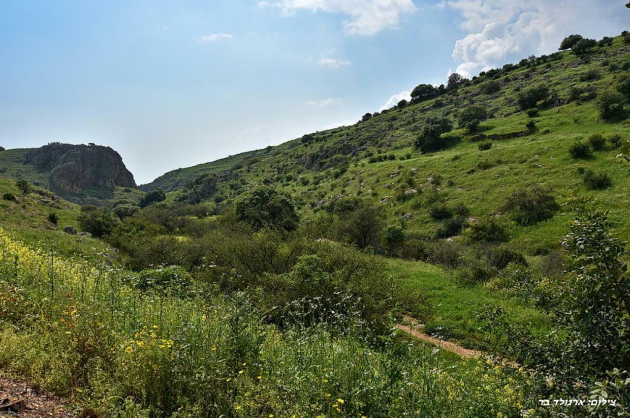 Mul Kinneret Livnim Exterior foto